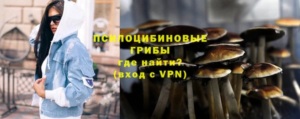 ешки Белокуриха