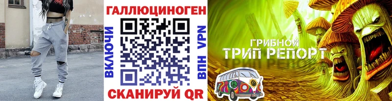MEGA вход  Балаково  Псилоцибиновые грибы прущие грибы 